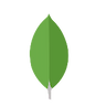 MongoDB